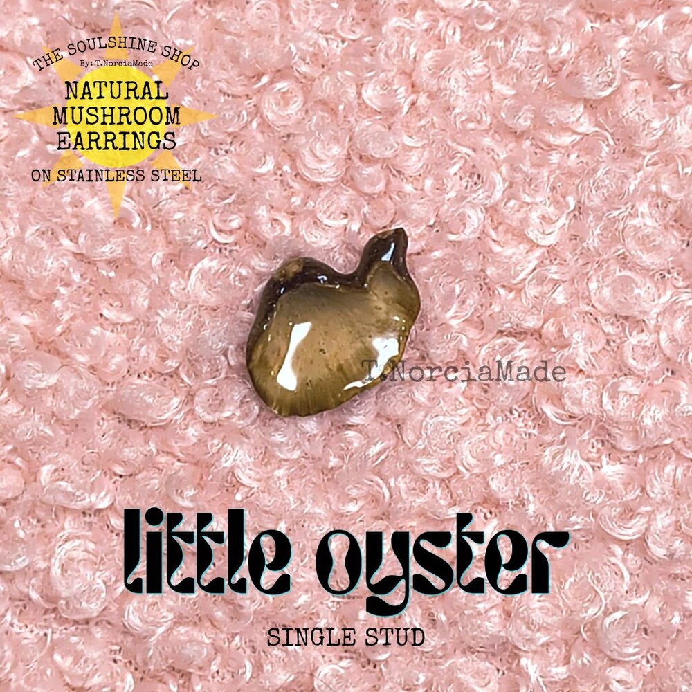 Little Oyster Natural Mushroom Single Stud Earring